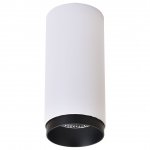 WE802.01.007+WE803.RG.020 WERTMARK TECHNICAL STECKEN светильник точечный накладной, LED, 12W, 4000K