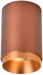 Светильник вставка-кольцо Wertmark WE803.RG.400 STECKEN