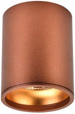 Светильник вставка-кольцо Wertmark WE804.RG.400 STECKEN II