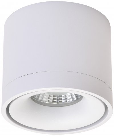 Светильник потолочный Wertmark WE831.01.007 BOTTEN