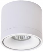 Светильник потолочный Wertmark WE831.01.007 BOTTEN