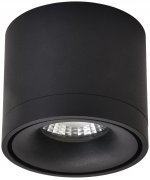 Светильник потолочный Wertmark WE831.01.027 BOTTEN