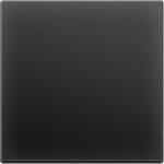 Выключатель одноклавишный проходной (черный матовый) WL08-SW-1G-2W Werkel