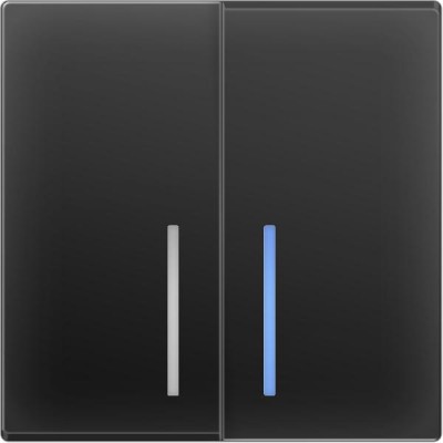 

Выключатель двухклавишный с подсветкой (черный матовый) WL08-SW-2G-LED Werkel, WL08-SW-2G-LED черный матовый