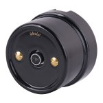 Винты для распределительной коробки/TV  розетки 2 шт. золото ретро WL18-22-01