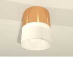Комплект накладного светильника с акрилом Ambrella XS8121011 XS