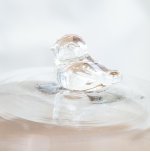 Колпак для цветов Helena Vase MAK interior YT223 Разноцветный