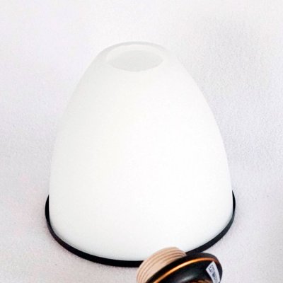 

Плафон стекло матовое белое E27 Arte lamp A9518AP/LM Bonito, A9518