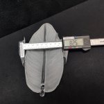 Плафон стекло подвеска в виде пера LSP-883 HESPERIA