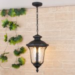 Светильник подвесной черный Carina H (арт. GLYF-1452H) Elektrostandard