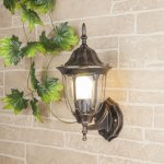 Уличный настенный светильник GL 1002U черное золото Elektrostandard