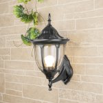 Светильник уличный настенный Elektrostandard GL 1003U черный