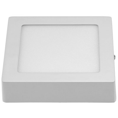 Накладной потолочный светодиодный светильник Elektrostandard DLS002 12W 4200K белый WH