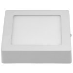 Накладной потолочный светодиодный светильник Elektrostandard DLS002 12W 4200K белый WH