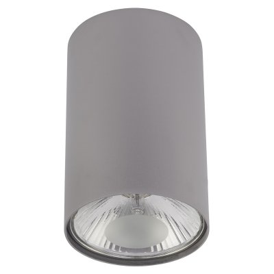 Накладной точечный светильник Elektrostandard 6877 SL серебро Nowodvorski