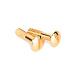 Винты для распределительной коробки/TV  розетки 2 шт. (золото) Ретро WL18-22-01 Werkel