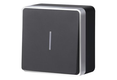 Выключатель одноклавишный с подсветкой Gallant (черный с серебром) WL15-01-04 Werkel Выключатель одноклавишный с подсветкой Gallant (черный с серебром) WL15-01-04 Werkel