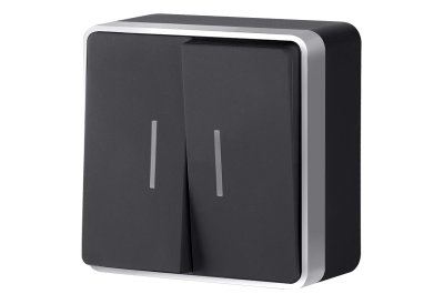 Выключатель двухклавишный с подсветкой Gallant (черный с серебром) WL15-03-03 Werkel