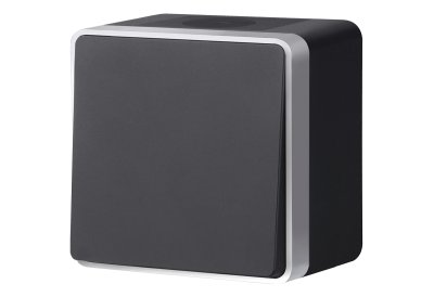 Выключатель одноклавишный влагозащищенный Gallant (черный с серебром) WL15-01-02 Werkel