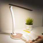 Настольный светильник Elektrostandard Gander gold (TL90310) (90199/1 золотой упаковка ЕС)