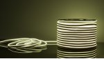 Светодиодный гибкий неон Гибкий неон 220V 9,6W 120Led 2835 IP67 односторонний холодный белый, 50 м Elektrostandard