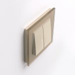 Рамка на 1 пост (шампань,стекло) Werkel WL01-Frame-01