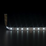 Светодиодная лента Лента светодиодная 12V 4,8W 60Led 2835 IP20 холодный белый, 5м Elektrostandard