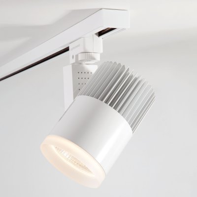 

Трековый светильник Accord Белый 30W 4200K (LTB43) трехфазный Электростандарт, Accord Белый 30W 4200K (LTB43) трехфазный