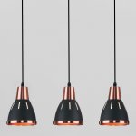 Подвесной светильник Eurosvet 50173/3 черный Nort