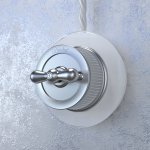 Переключатель одноклавишный (Матовый хром) ретро WL19-01-03 Werkel