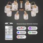 Потолочный светильник Eurosvet 70090/8 Tenia латунь / черный