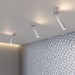 Настенно-потолочный светильник Eurosvet 20084/1 LED серебро