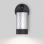 Настенный светильник с выключателем Eurosvet 20088/1 черный/серебро Mizar