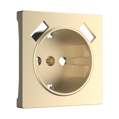 

Накладка для USB розетки (шампань) Werkel W1179511, W1179511