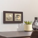 Розетка с заземлением (шампань) W1171011 Werkel