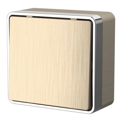 

Выключатель одноклавишный проходной Gallant (шампань рифленый) W5012010 Werkel, W5012010