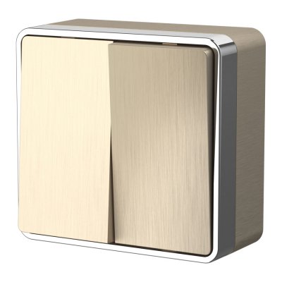 

Выключатель двухклавишный Gallant (шампань рифленый) W5020010 Werkel, W5020010