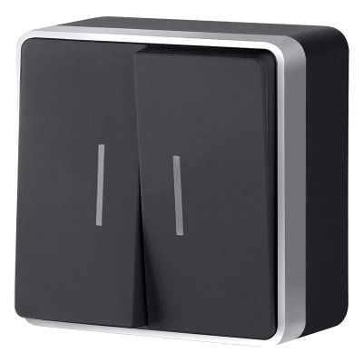 Выключатель двухклавишный с подсветкой Gallant черный с серебром W5020134 W5020134