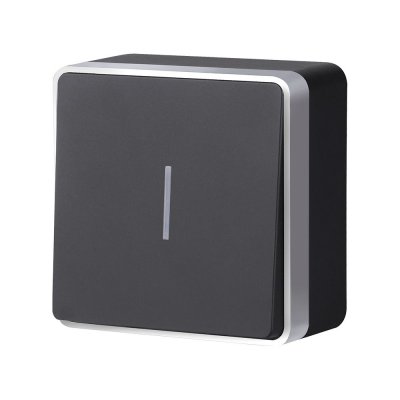 Выключатель одноклавишный с подсветкой Gallant черный с серебром W5010134 W5010134