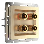 Акустическая розетка (шампань рифленый) W1185010 Werkel