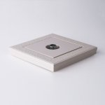 ТВ розетка проходная (слоновая кость) W1184003 Werkel