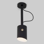 Настенный светильник с поворотным плафоном Eurosvet 20092/1 черный Italio