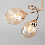 Потолочная люстра со стеклянными плафонами Eurosvet 30171/4 золото Roselyn