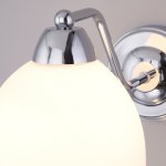 Бра со стеклянным плафоном Eurosvet 30172/1 хром Carissa