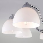 Потолочная люстра со стеклянными плафонами Eurosvet 30172/8 хром Carissa