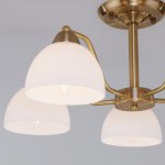 Потолочная люстра со стеклянными плафонами Eurosvet 30172/5 античная бронза Carissa