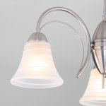 Потолочная люстра со стеклянными плафонами Eurosvet 30173/3 сатин-никель Dana