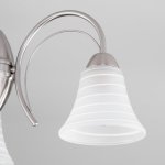 Потолочная люстра со стеклянными плафонами Eurosvet 30173/3 сатин-никель Dana