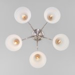 Потолочная люстра со стеклянными плафонами Eurosvet 30173/5 сатин-никель Dana