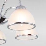 Потолочная люстра со стеклянными плафонами Eurosvet 30174/5 хром Shanon